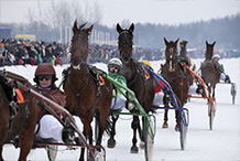 Sartų žirgų lenktynės Dusetose